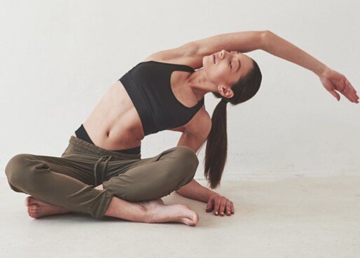 hatha yoga 1 hatha yoga 1